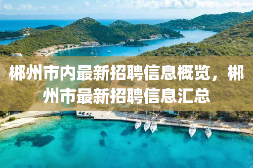 郴州市内最新招聘信息概览，郴州市最新招聘信息汇总